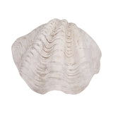 Decorative white shell on a white background Callista Home