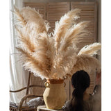 Pampas grass arrangement in a vase with a blurred background Callista Home
