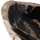Close-up of a petrified wood piece with dark interior and light exterior. Callista Home