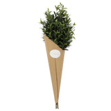 Bouquet of green plants wrapped in brown paper with a white label on a white background
