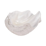 White marble shell sculpture on a white background Callista Home