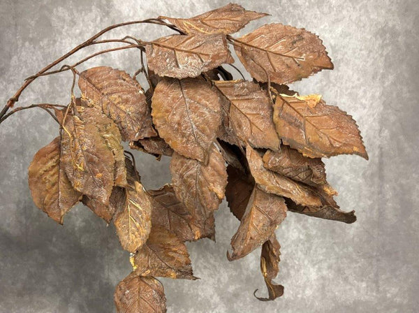 A bunch of artificial dried brown leaves on a branch, displayed against a textured gray background. Callista Home