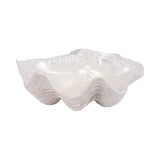 Large white shell on a white background Callista Home